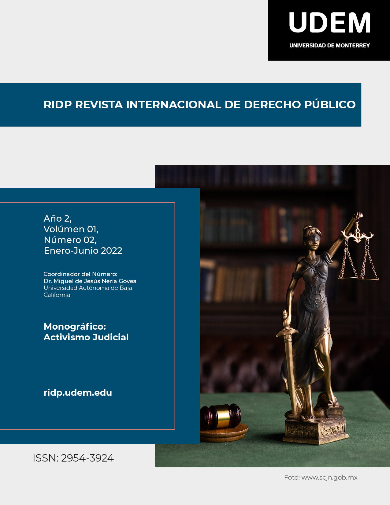					Ver Vol. 1 Núm. 2 (2022): RIDP Revista Internacional de Derecho Público. Monográfico: Activismo Judicial
				